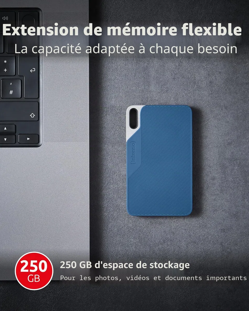 Intenso Disque dur externe SSD TX100, 250 Go Portable Solid State Drive, Super Speed USB 3.2 Gen 1x1 (5 Gbit/s), jusqu'à 500 Mo/s