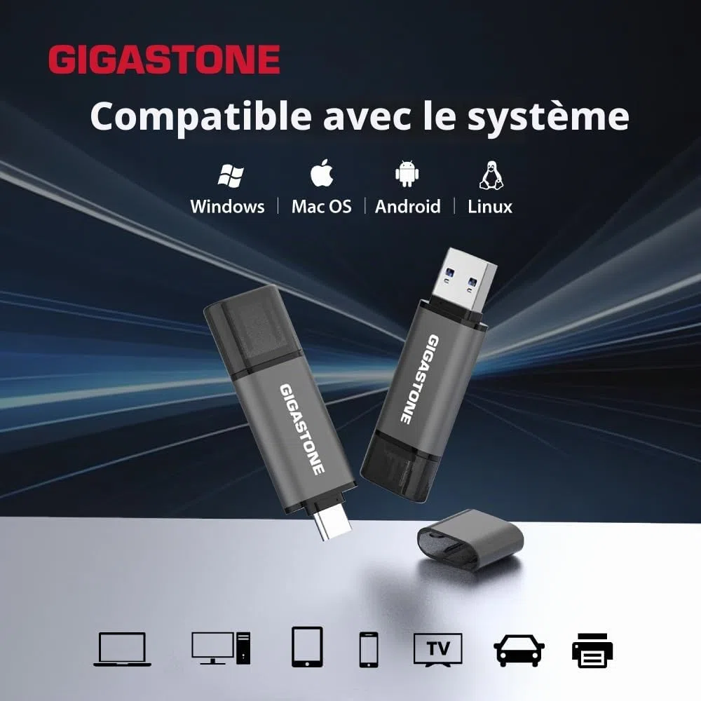 GIGASTONE 128Go Clé USB Double Flash (Lot de 2) Z40 USB 3.2 Gen 1, 2-en-1 Type-A & Type-C, 100Mo/s Ultra Rapide, Plug & Play pour Smartphone/PC/Mac/TV/Voiture, USB 2.0/3.0/3.1 Compatible